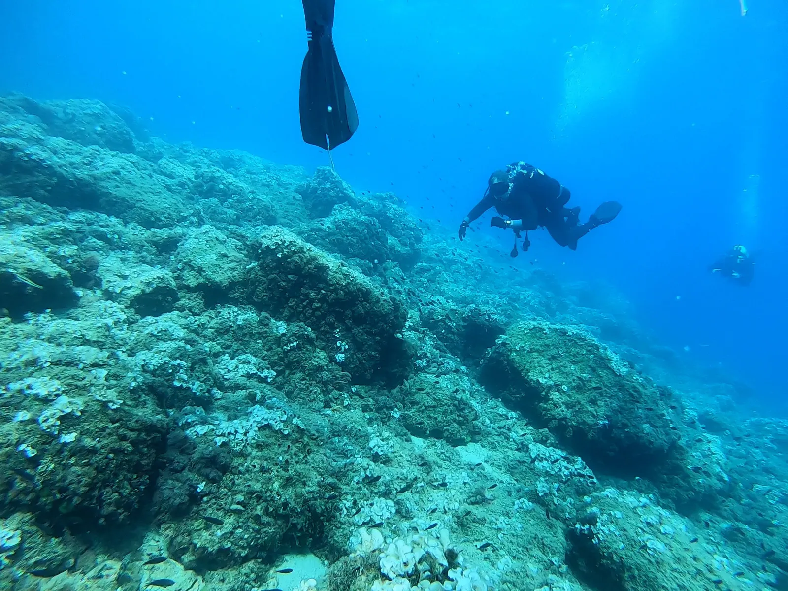 Gozo, Malta: Europe's Quiet Underwater Gem (This image was released by the United States National Guard with the ID 220719-Z-JK947-2007 (next).
This tag does not indicate the copyright status of the attached work. A normal copyright tag is still required. See Commons:Licensing.
العربية ∙ বাংলা ∙
Bahasa Indonesia ∙
Bahaso Jambi ∙
Deutsch ∙ Deutsch (Sie-Form) ∙ English ∙ español ∙ euskara ∙ فارسی ∙ français ∙ italiano ∙ 日本語 ∙ 한국어 ∙ македонски ∙ മലയാളം ∙ Plattdüütsch ∙ Nederlands ∙ polski ∙ پښتو ∙ português ∙ русский ∙ slovenščina ∙ svenska ∙ Türkçe ∙ українська ∙ 简体中文 ∙ 繁體中文 ∙ +/−, Public domain)