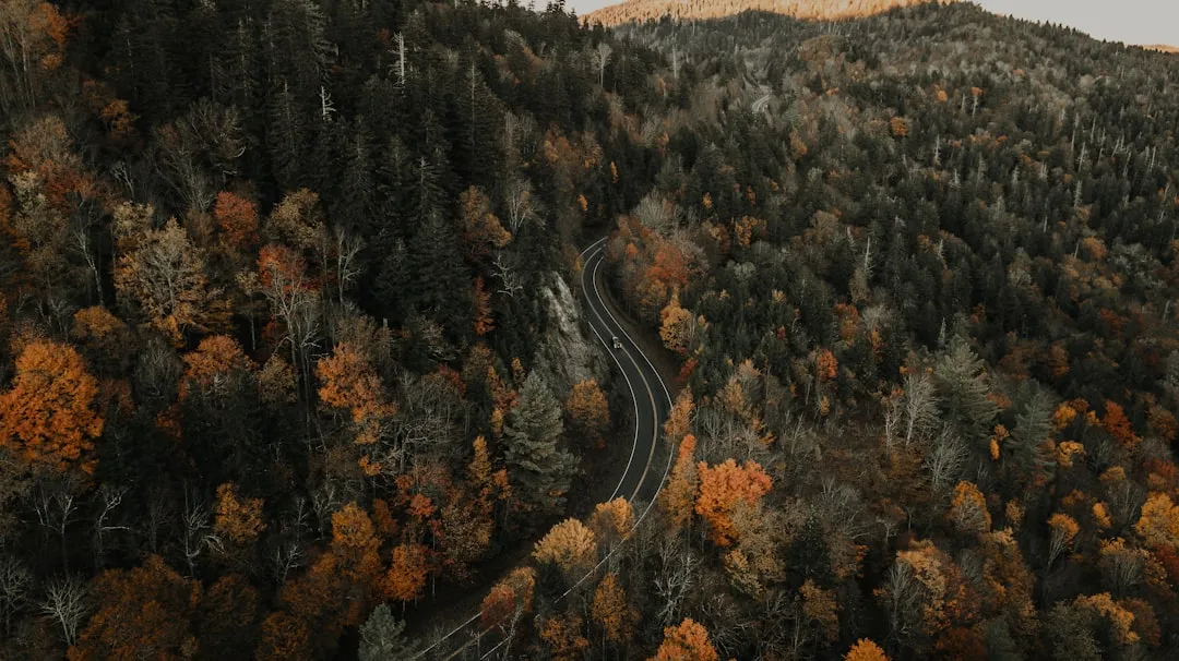 Why This Route Works So Well for Restless Kids (Image Credits: Unsplash)