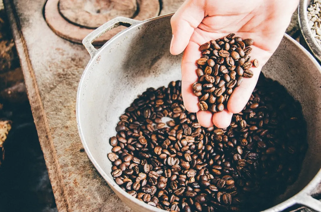 Coffee Farm Culture You Can Actually Experience (Image Credits: Unsplash)