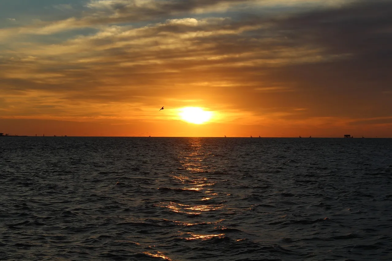 Rockport, Port Aransas, and the Broader Coastal Ecosystem (Image Credits: Pixabay)