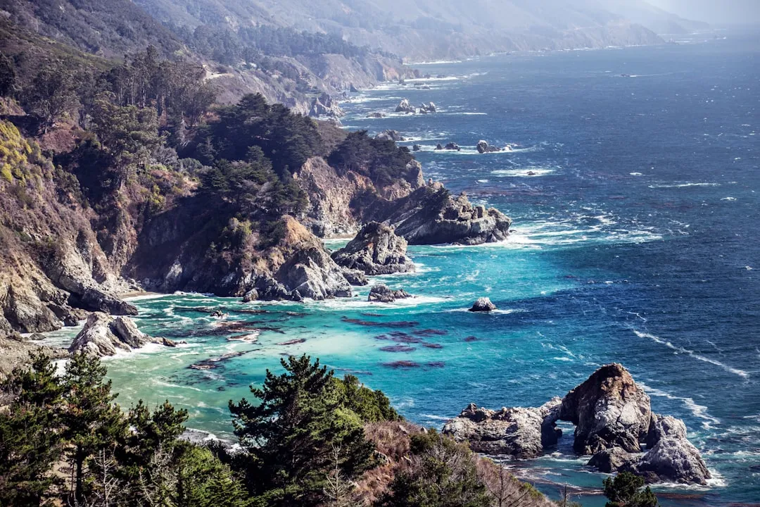 2. Pacific Coast Highway: San Francisco to Monterey, California (Image Credits: Unsplash)