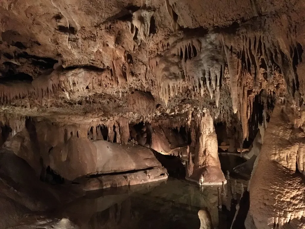 Inner Space Cavern: Georgetown's Accidental Treasure (h3h, Flickr, CC BY 2.0)