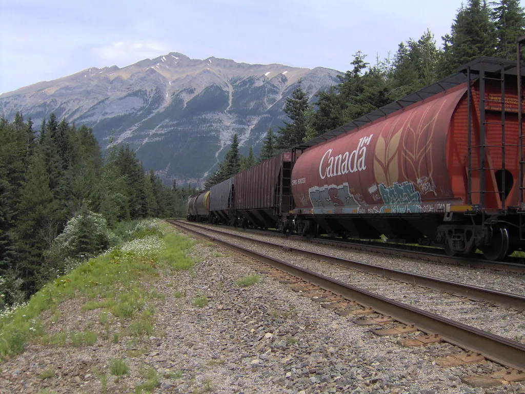 Traveler Sentiment Is Shifting Meaningfully (Nikki L., Flickr, CC BY 2.0)