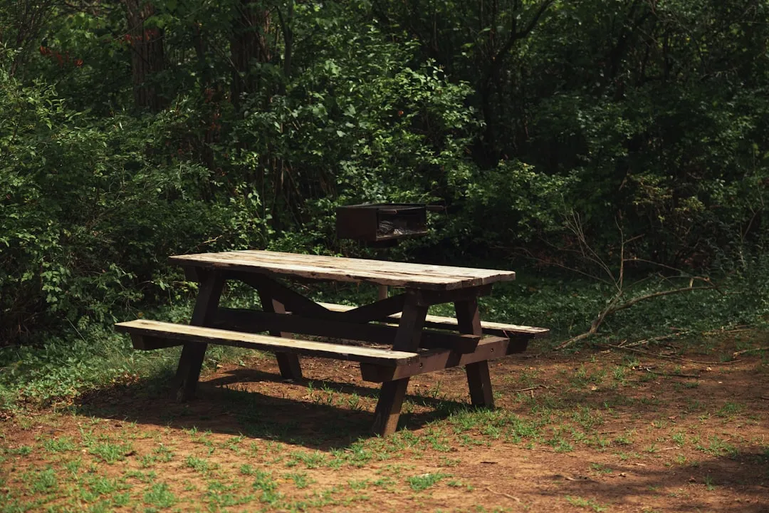 Where It All Began: A Picnic Table Made from Scrap Wood (Image Credits: Unsplash)