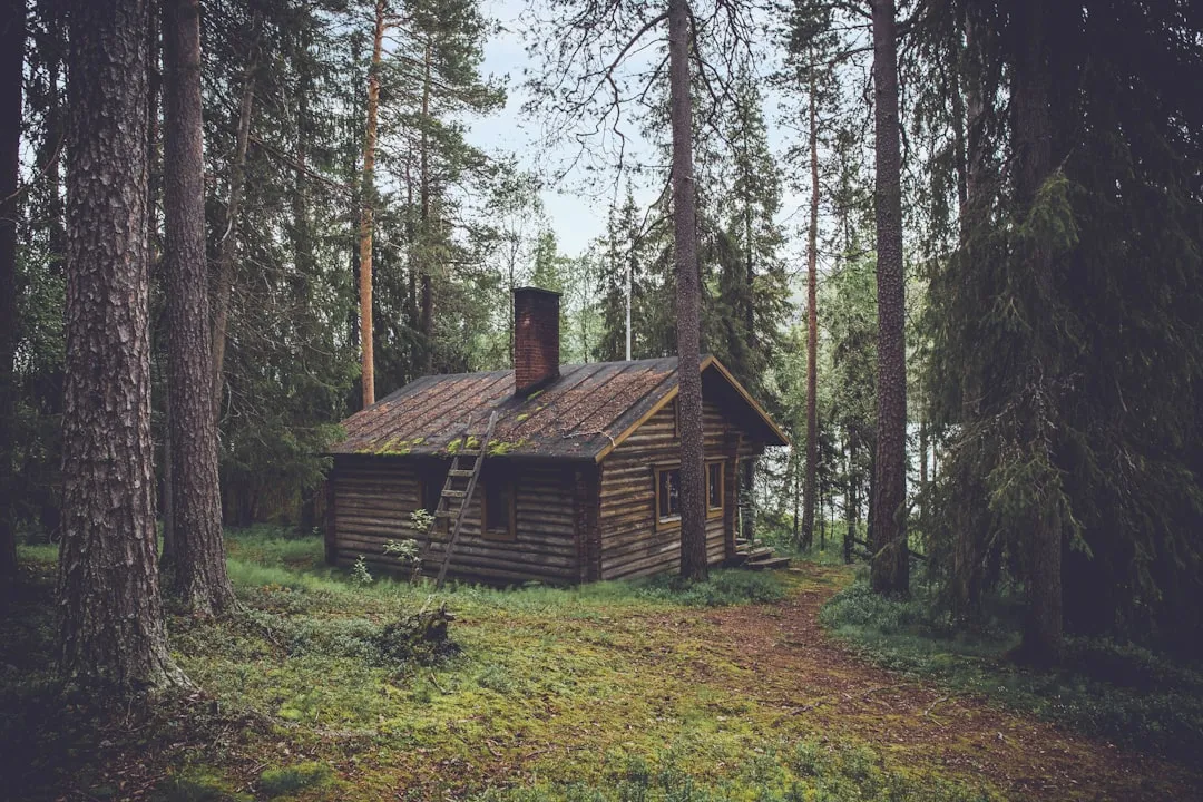 Where the Real Discovery Happens (Image Credits: Unsplash)