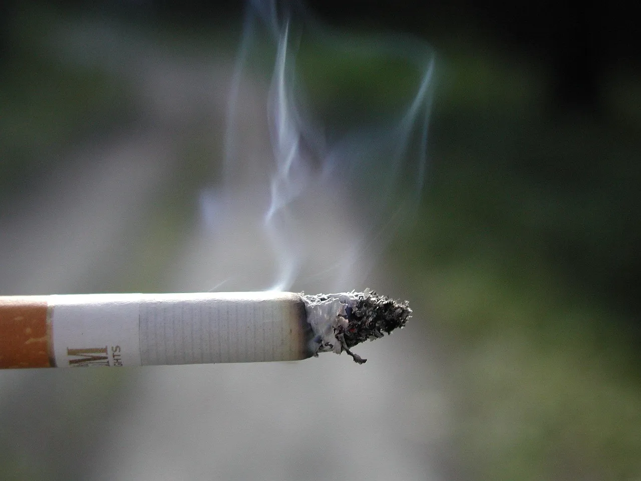 The Broader Legacy of the In-Flight Smoking Era (Image Credits: Pixabay)