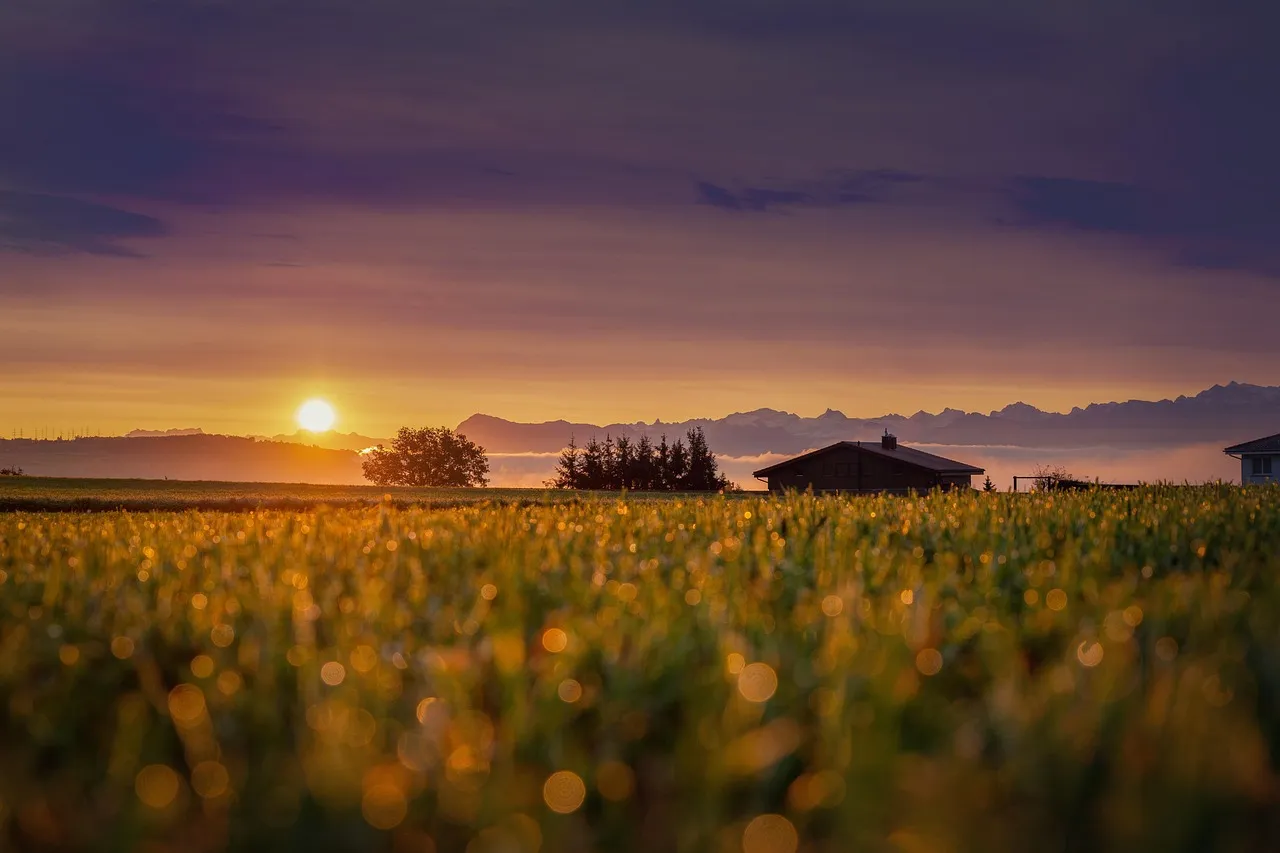 What Buyers Are Actually Finding on the Ground (Image Credits: Pixabay)