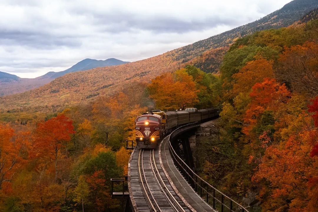 The Data Shows Autumn Travel is Surging (Image Credits: Unsplash)