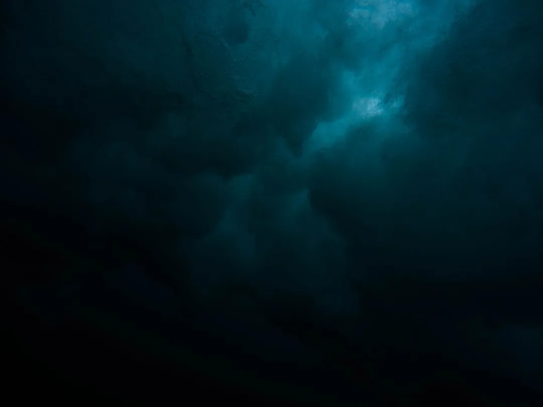 What the Flagstaff Model Tells Us About Paonia's Future (Image Credits: Unsplash)