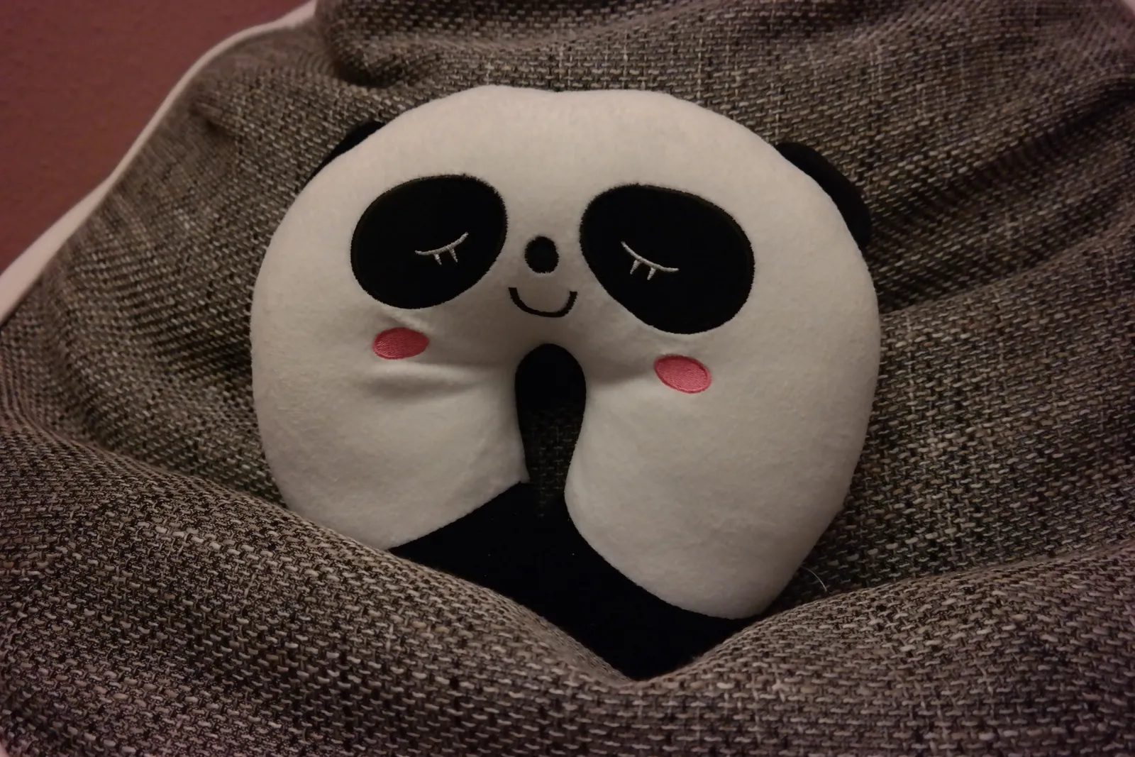 A Supportive Neck Pillow That Does Its Job (By Teemeah, CC BY-SA 4.0)
