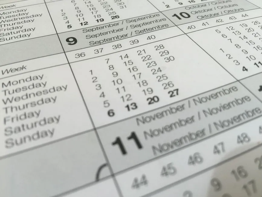 International vs. Domestic: Does Friday Hurt You More on One? (Image Credits: Pexels)