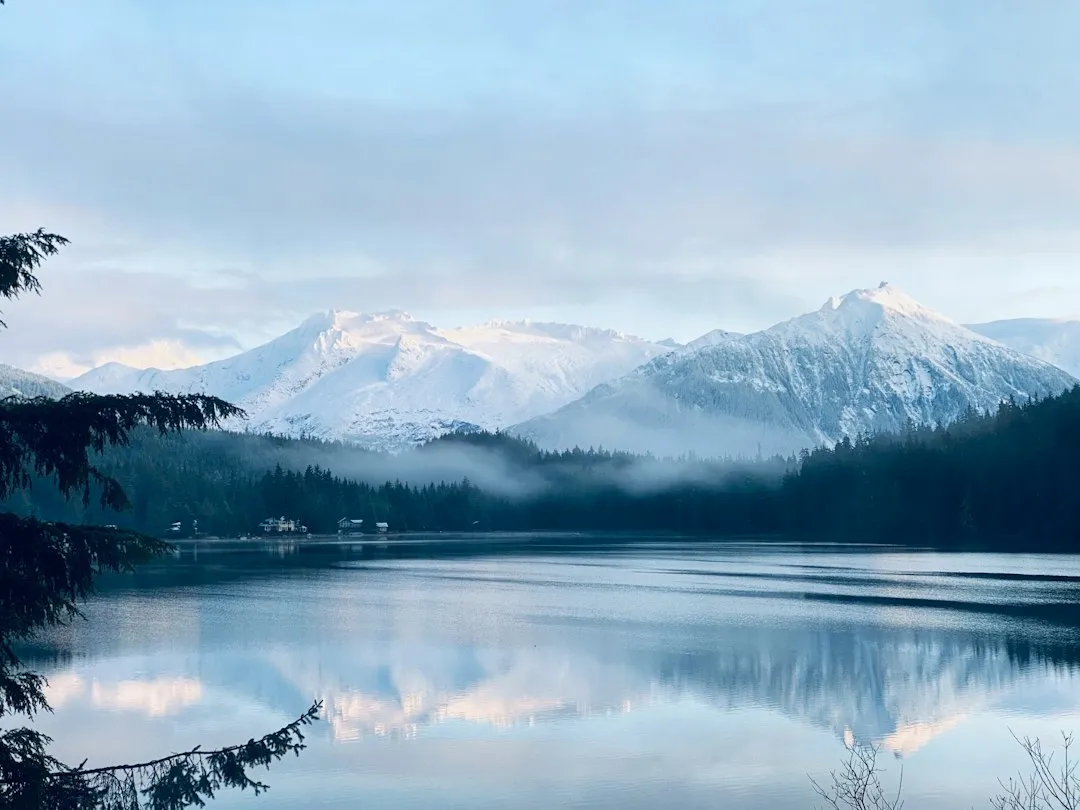 Where Exactly It Lives (Image Credits: Unsplash)
