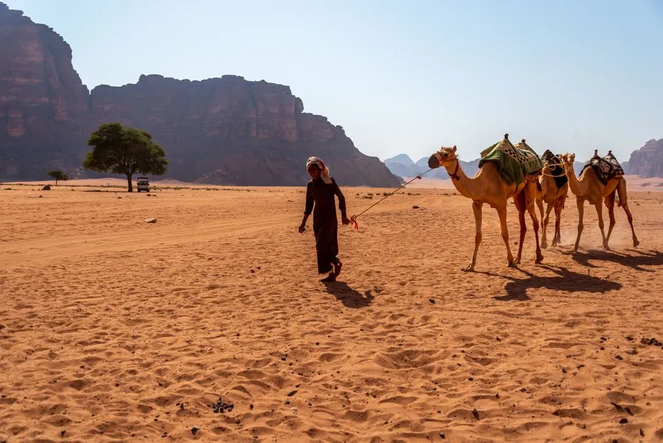 Visiting Responsibly in a Place This Precious (Image Credits: Pexels)