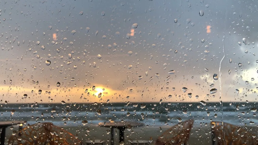 After Rain, Patience Is the Entry Strategy (Image Credits: Unsplash)