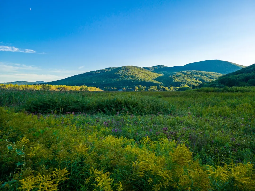 Vermont's Tourism Data Confirms What Locals Already Know (Image Credits: Unsplash)