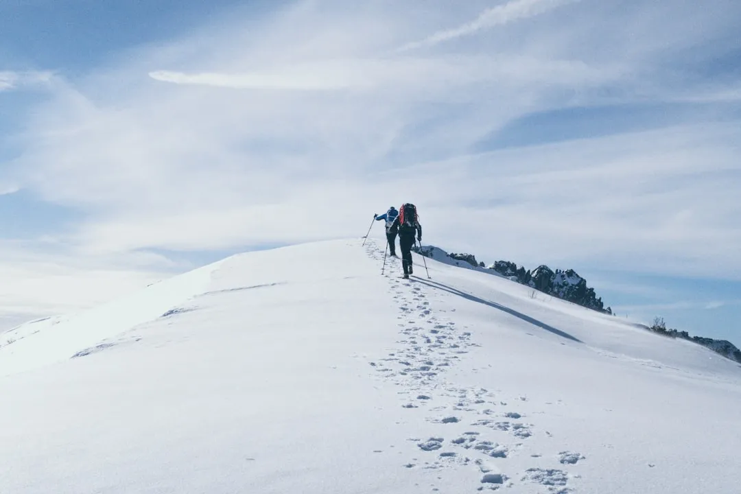 Rocky Mountain National Park: Ten Times Fewer People (Image Credits: Unsplash)