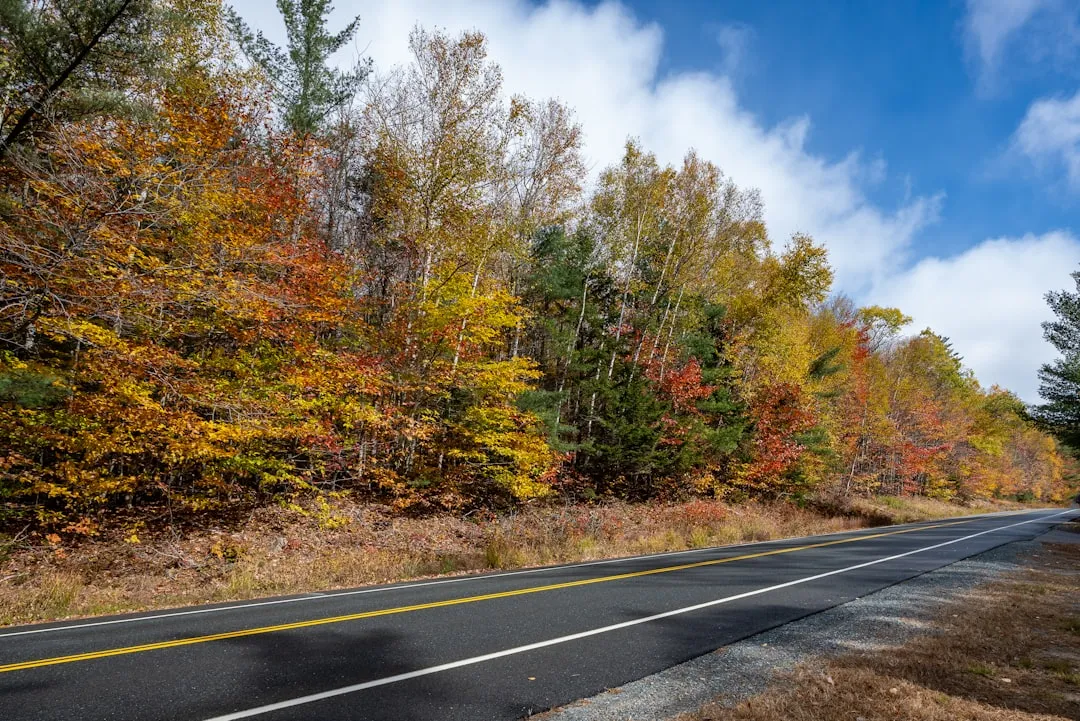 The Second Week of October: The Kancamagus Highway's Prime Time (Image Credits: Unsplash)