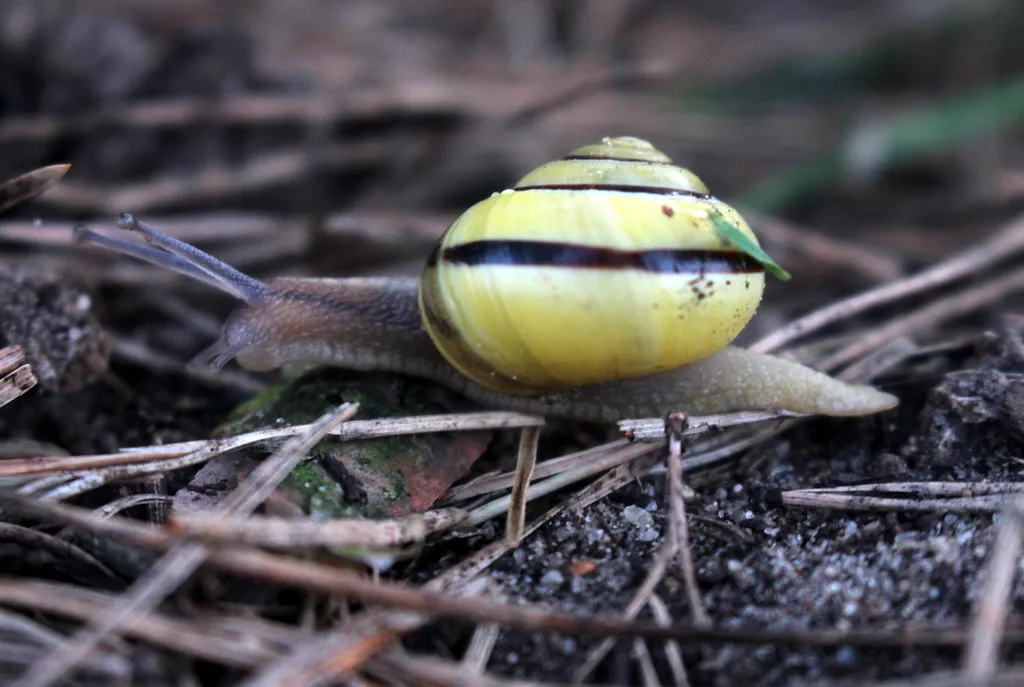 What Slow Travel Actually Means in Practice (Aivar Ruukel, Flickr, CC BY 2.0)