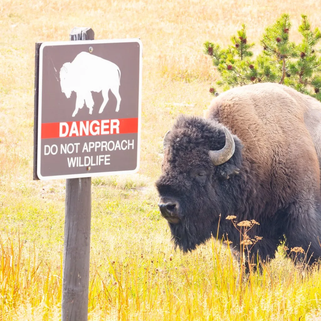 What the Evidence Actually Recommends (National Park Service, Flickr, CC BY 2.0)