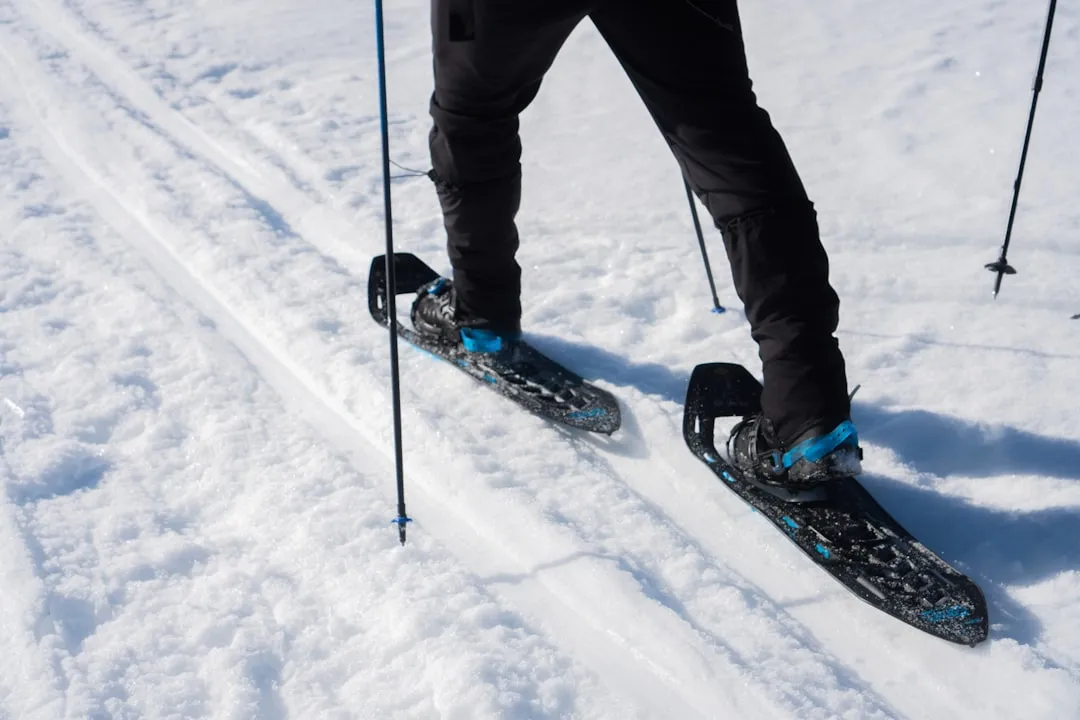The Trails: 90 Miles of Groomed Winter Silence (Image Credits: Unsplash)