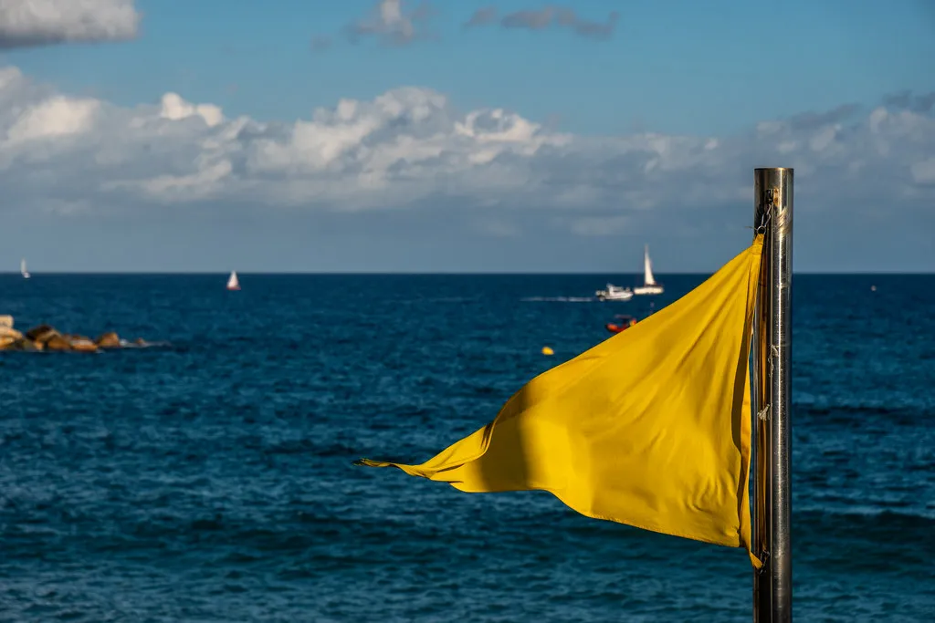 Yellow: Caution Is the Right Word (asvensson, Flickr, CC BY 2.0)