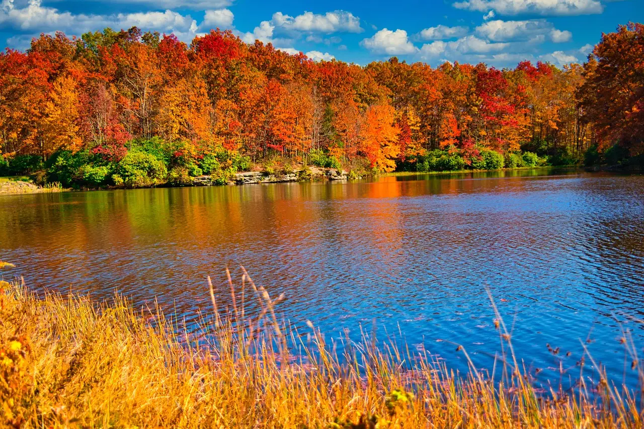 The Foliage Forecast Is Actually a Thing Here (Image Credits: Pixabay)