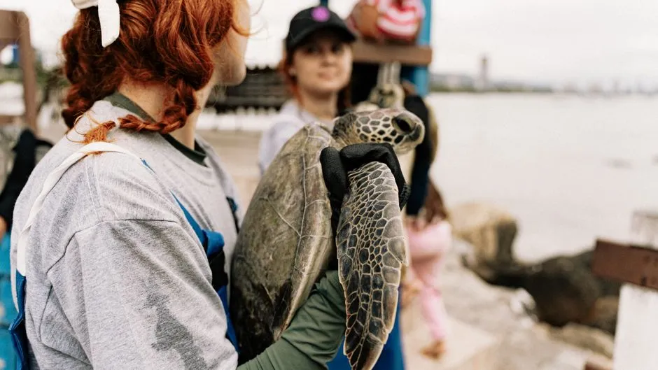 Support Conservation Monitoring Efforts and Volunteers (Image Credits: Pexels)