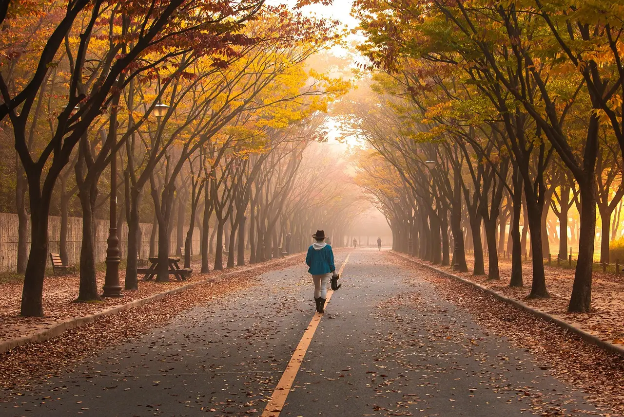 The Science of Walking in Nature (Image Credits: Pixabay)