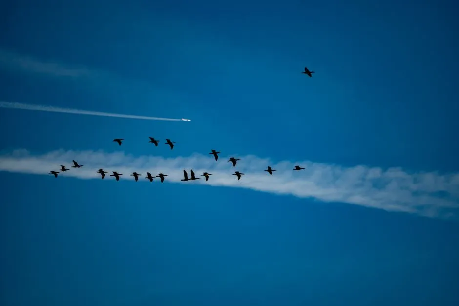 The Animals That Actually Ground Flights: Waterfowl Take the Lead (Image Credits: Pexels)
