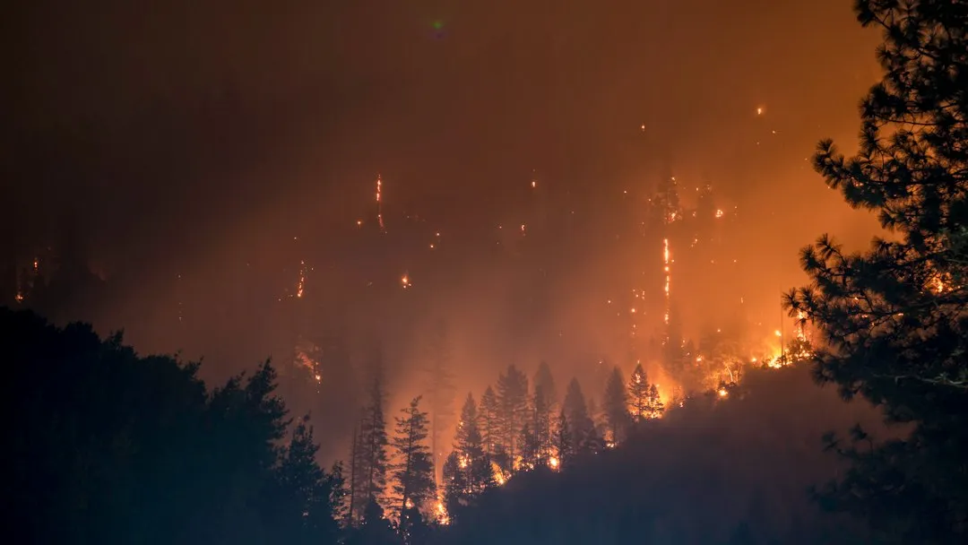 Plan Flexible Bookings and Keep Your Tank Full (Image Credits: Unsplash)