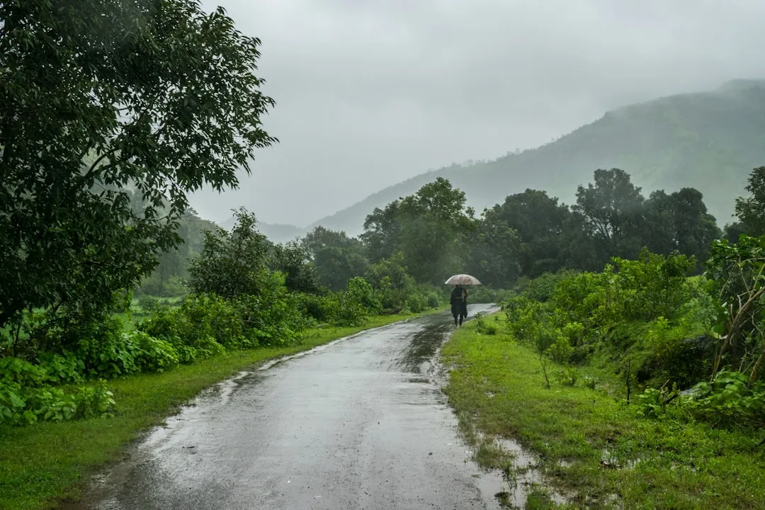 How to Travel Smarter During the Wet Months (Image Credits: Unsplash)