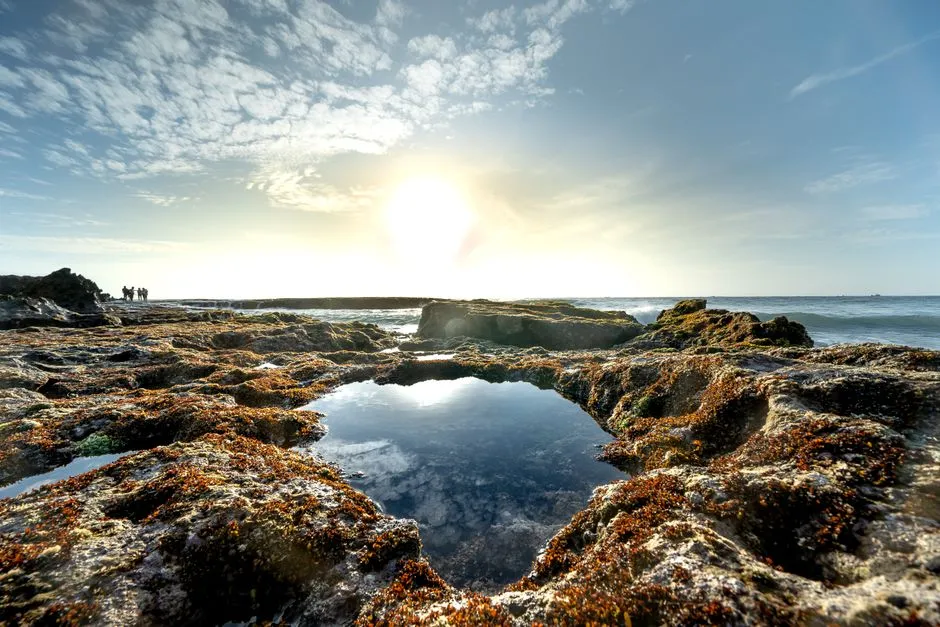 Guided Tide Pool Programs and Citizen Science (Image Credits: Pexels)