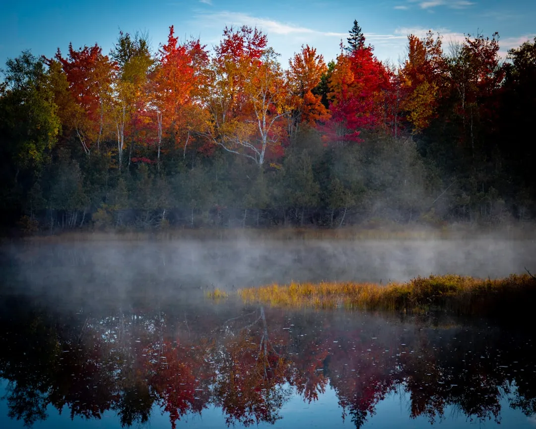 Maine's Coastal and Inland Windows (Image Credits: Unsplash)