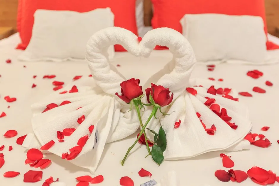 The Towel Animal Zoo Is a Surprising Ship-Wide Event (Image Credits: Pexels)