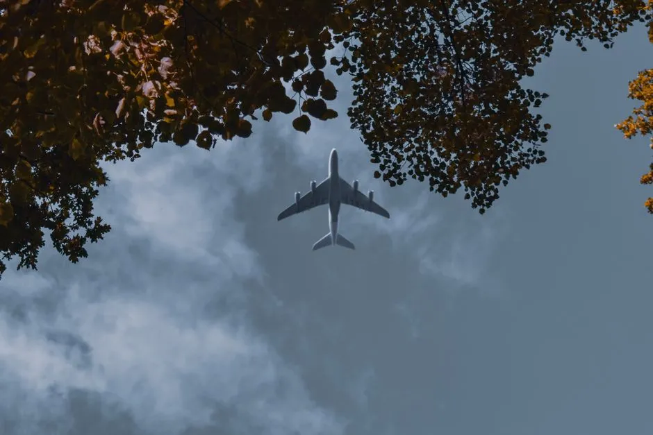 The Environmental Angle: Direct Flights Have an Edge (Image Credits: Pexels)