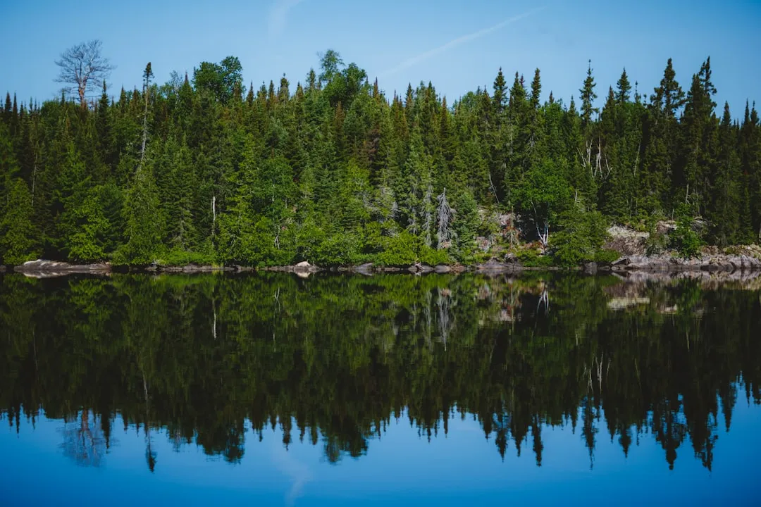 How Minnesota's Water Quality Is Actually Trending (Image Credits: Unsplash)
