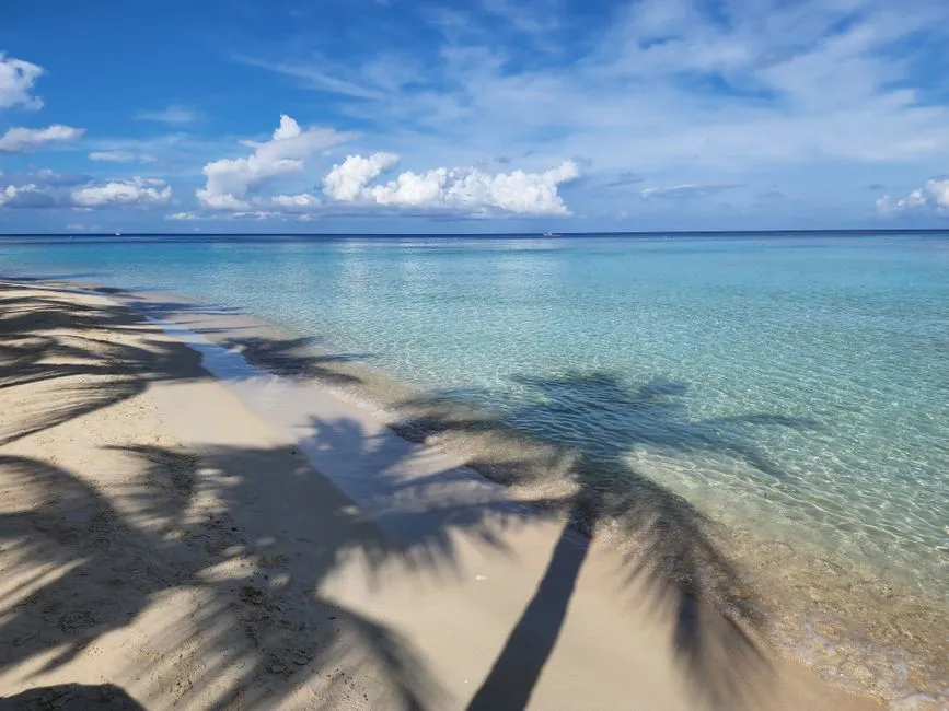 So, Which Island Actually Wins? (Image Credits: Pexels)