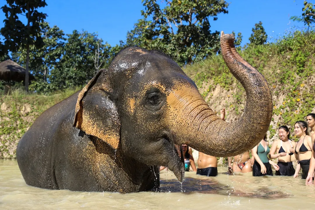 Ethical Travel Considerations Worth Taking Seriously (Image Credits: Unsplash)