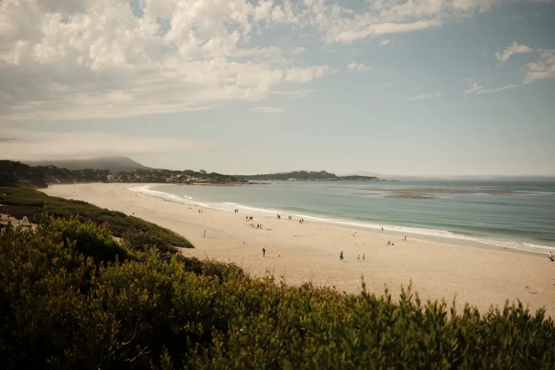 Yes, the Sand Really Does Squeak (Image Credits: Unsplash)