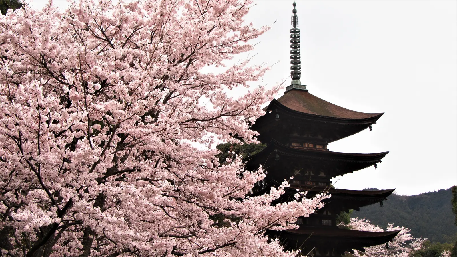 Sesshu's Garden and the Art of Standing Still (By Maria-Yamaguchi, CC BY-SA 4.0)