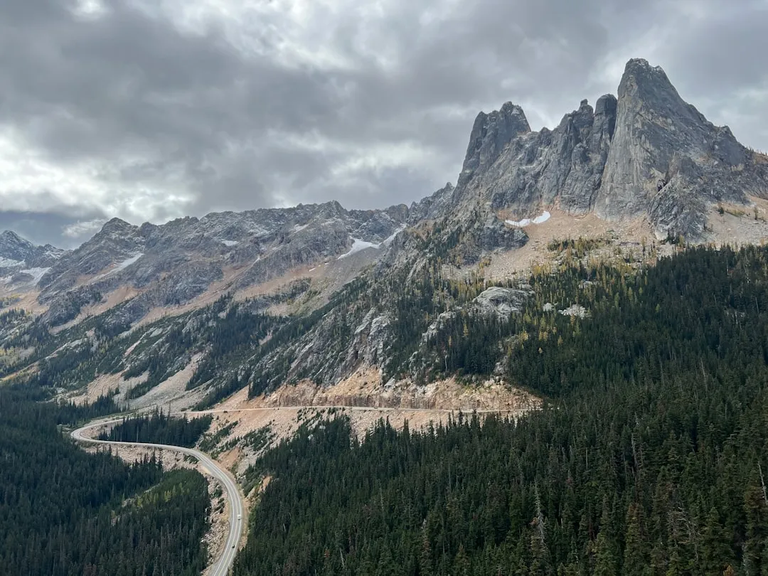 Okanogan-Wenatchee National Forest: The French Cabin Creek Area, Washington (Image Credits: Unsplash)