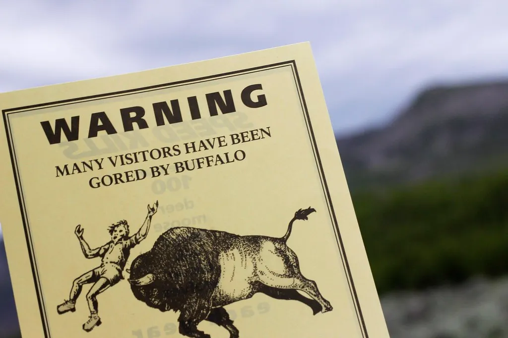 The Warning Signs Animals Give Before Charging (Greg Wohead, Flickr, CC BY 2.0)