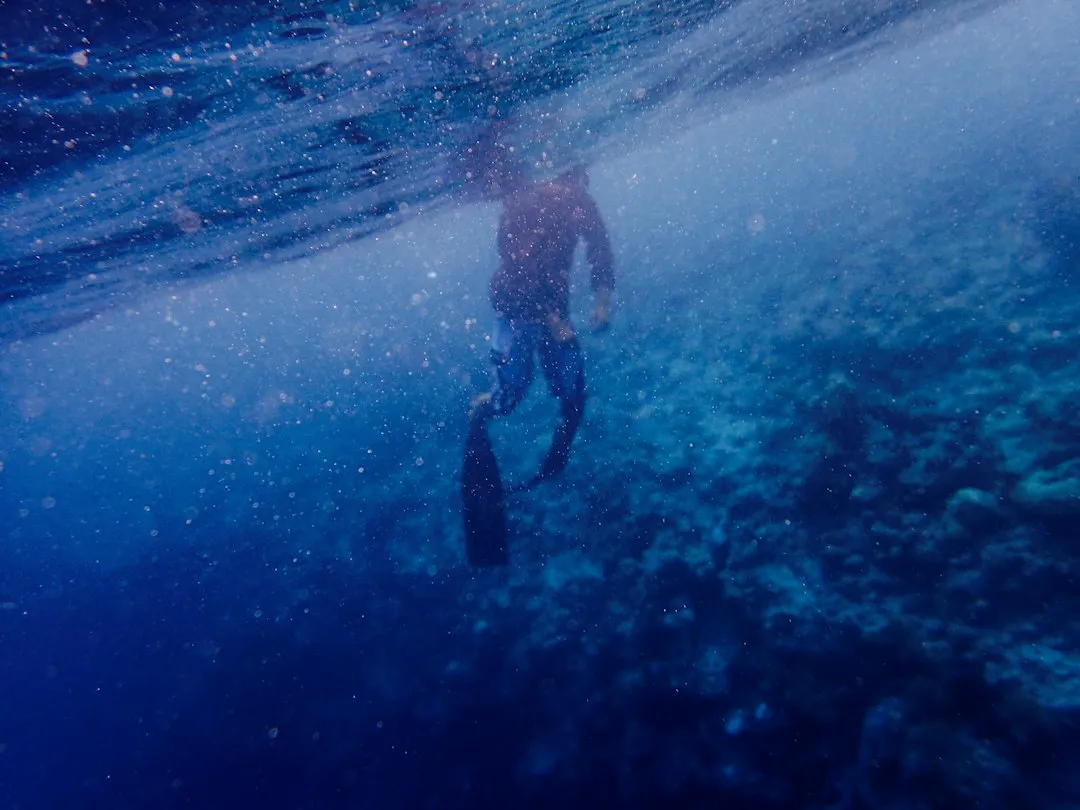 The Boy Who Discovered It (Image Credits: Unsplash)