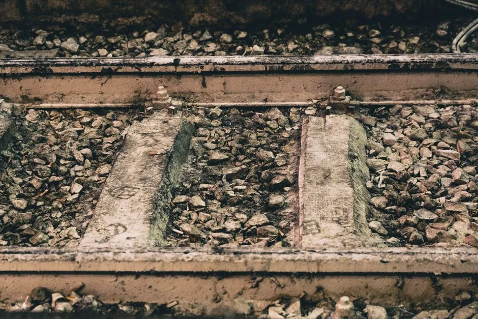 Drainage: Keeping the Ground Underneath Firm (Image Credits: Pexels)