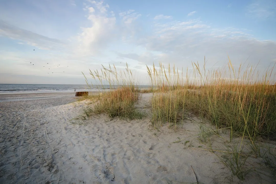 4. Hilton Head Island, South Carolina: Beach Days Without the Chaos (Image Credits: Unsplash)