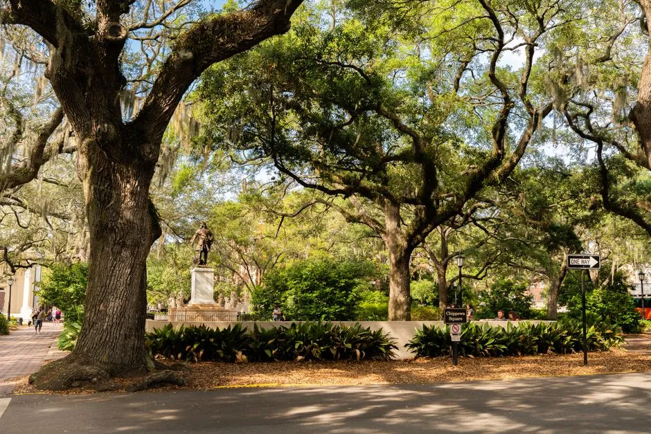 Chippewa Square: Monuments, Movies, and a Bronze General (Image Credits: Pexels)