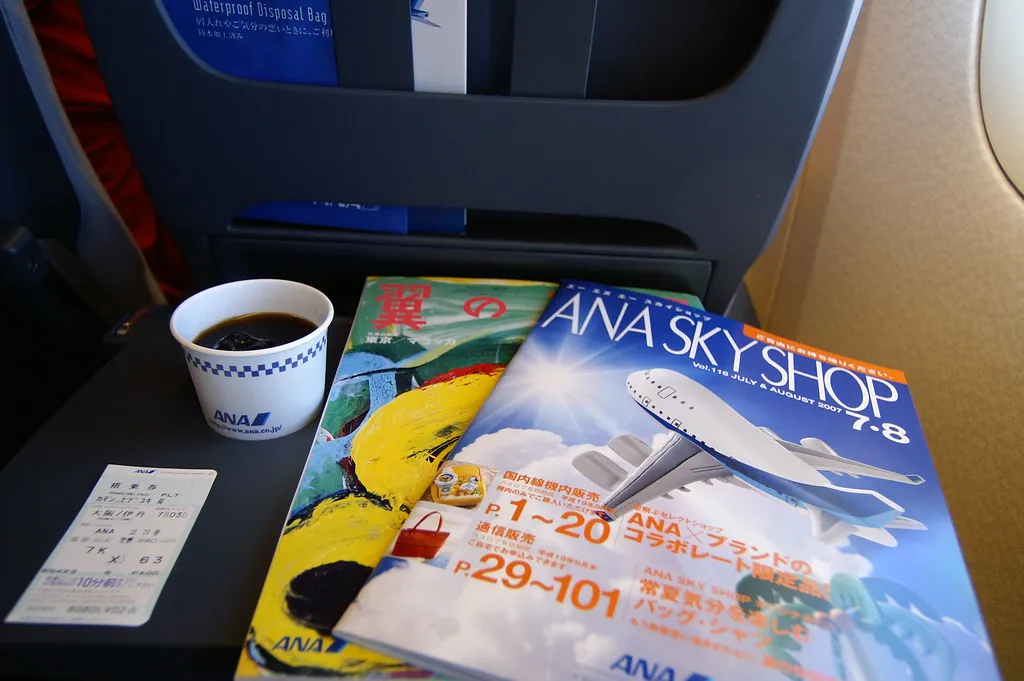 The One Who Skips It Entirely: The Informed Traveler (Hyougushi, Flickr, CC BY-SA 2.0)