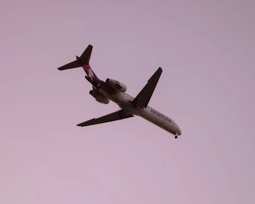 The Best Days To Fly And To Book (Image Credits: Pexels)