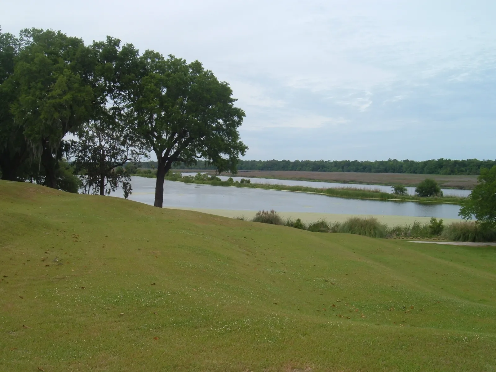 The Combahee River: Rice Fields and a Difficult History (By Brian Zinnel, CC BY-SA 4.0)