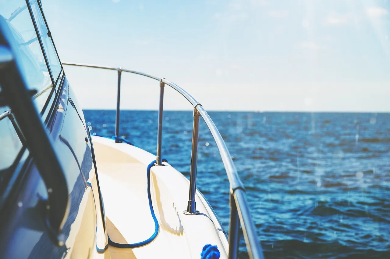 Leo: The Maximalist Who Treats Every Trip Like a Grand Performance (Image Credits: Pixabay)